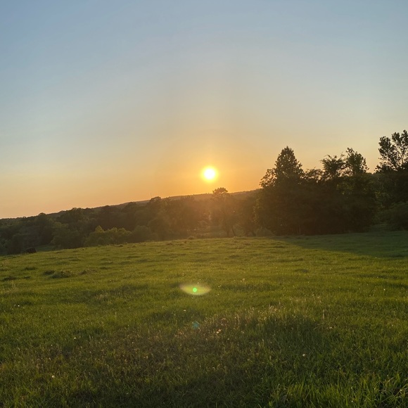 Meet your Posher, Mattie - Picture 2 of 2